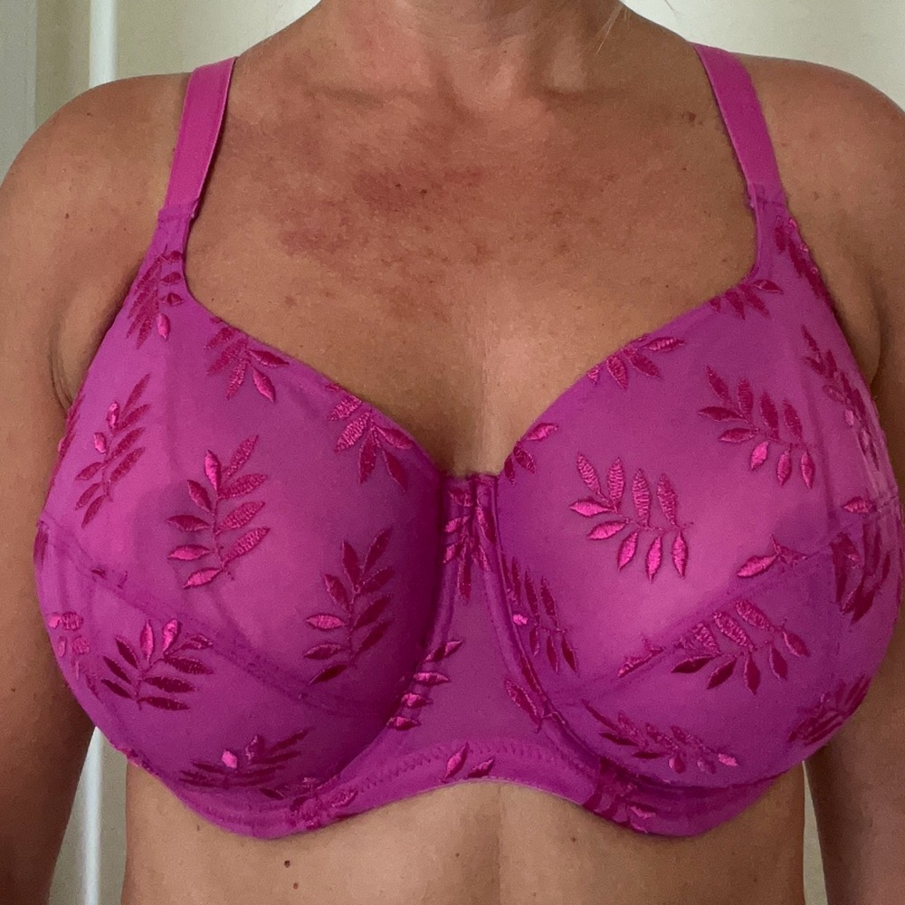 Elegant Pink Embroidered Bra
